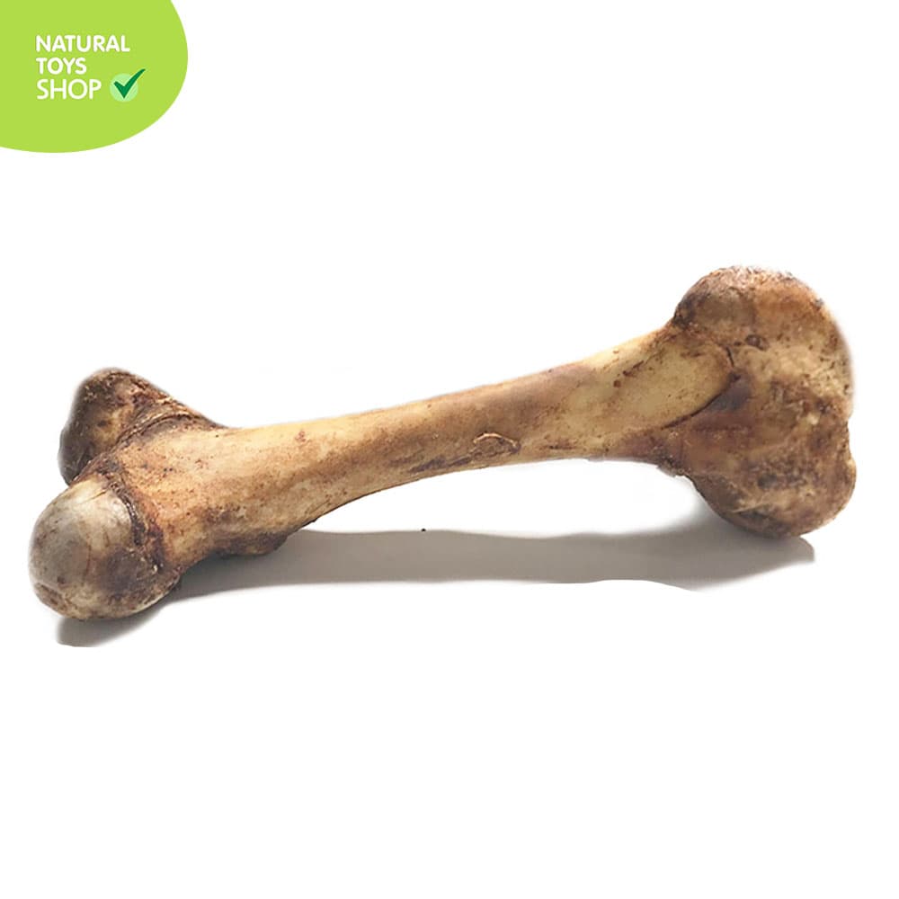 Hueso-calambombo-femur-de-res-deshidratado-grande-2 Hueso deshidratado natural de res grande calambombo para perros, juguete natural para perros, hueso de res para perros, juguete para perros