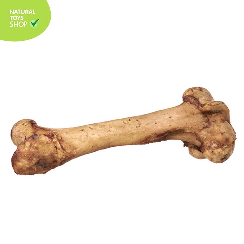 Hueso-calambombo-femur-de-res-deshidratado-grande-3 Hueso deshidratado natural de res grande calambombo para perros, juguete natural para perros, hueso de res para perros, juguete para perros
