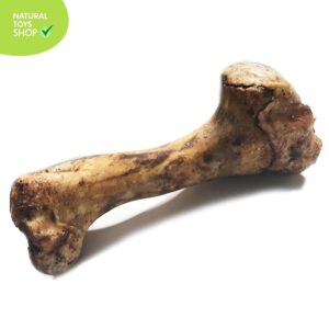 Hueso natural y deshidratado humero de res premios para perros