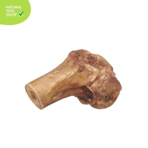 Hueso natural y deshidratado mini femur de cerdo premios para perros